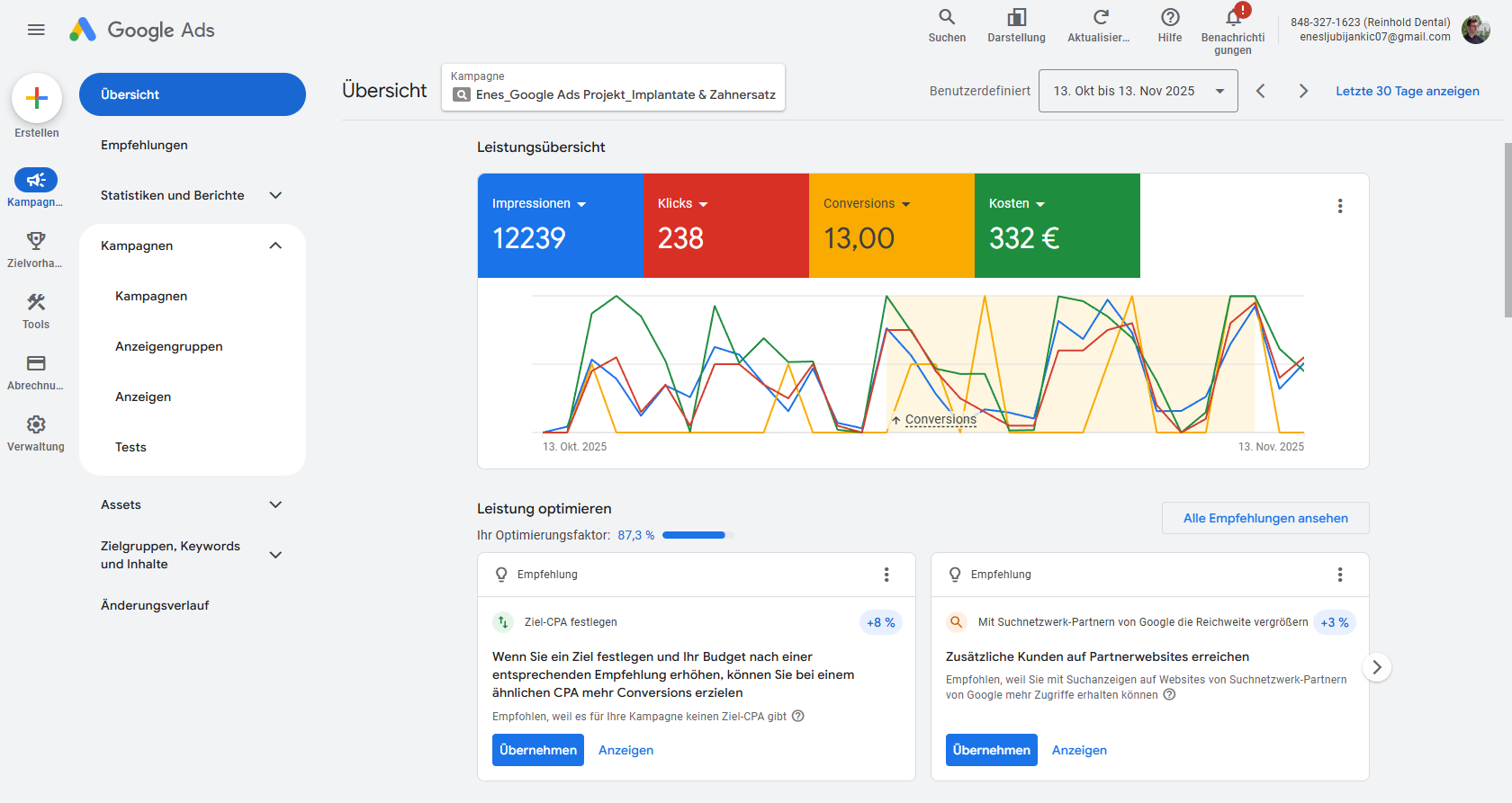 Google Ads Übersicht - Kampagnen Performance