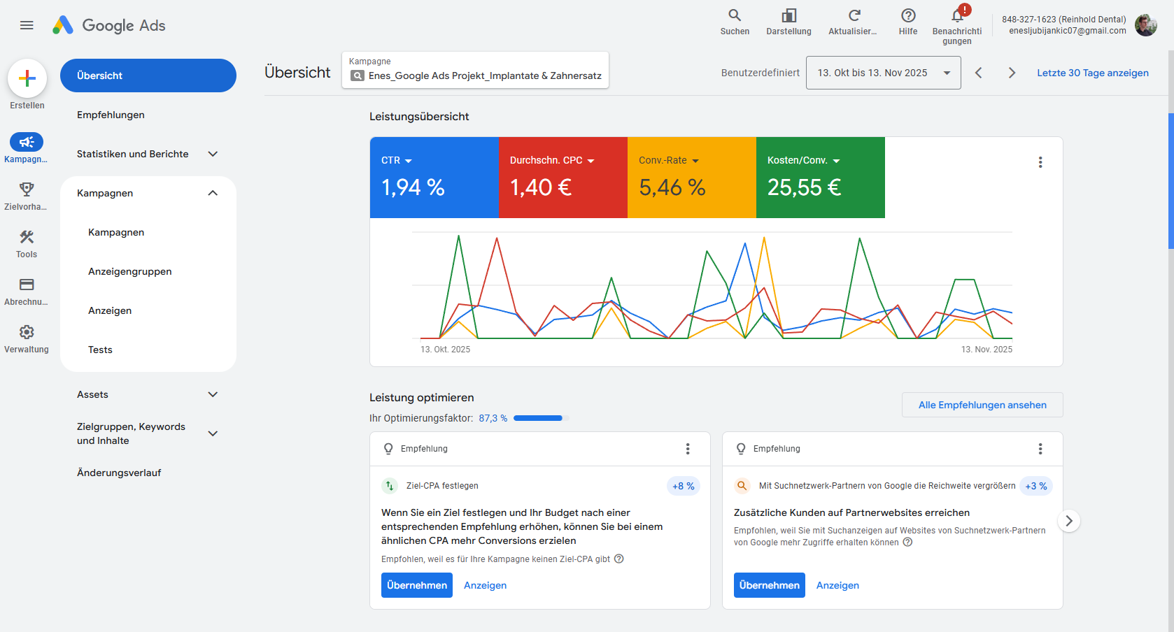 Google Ads Übersicht - Detaillierte Statistiken